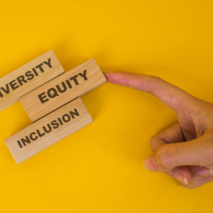 Equity Research Bundle
